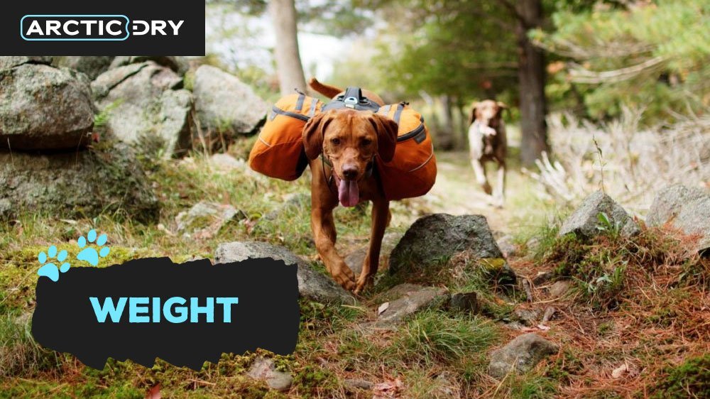 best-dog-hiking-backpacks
