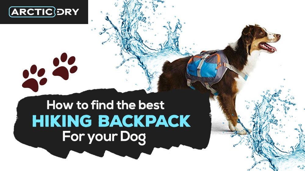 best-hiking-backpack-for-your-dog