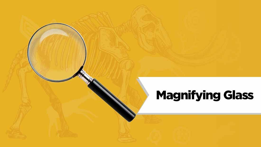 magnifying-glass-fossil-hunting