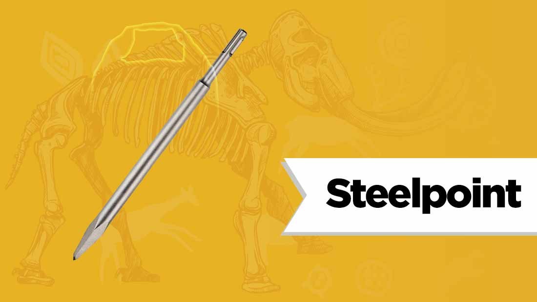 steelpoint-fossil-hunting